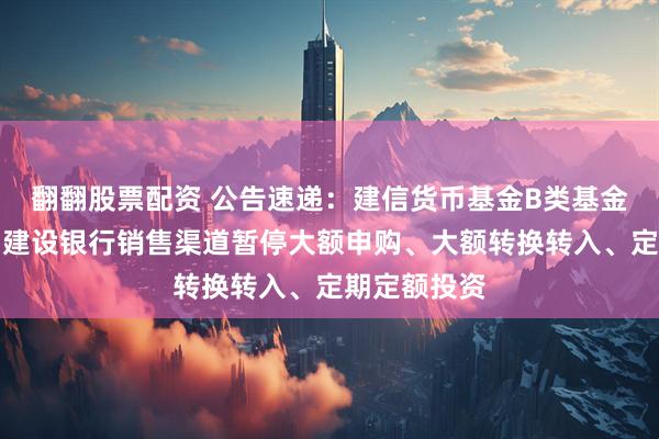 翻翻股票配资 公告速递：建信货币基金B类基金份额在中国建设银行销售渠道暂停大额申购、大额转换转入、定期定额投资