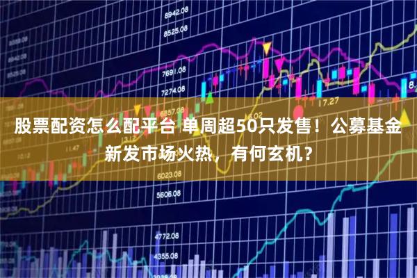 股票配资怎么配平台 单周超50只发售!公募基金新发市场火热,有何玄机?
