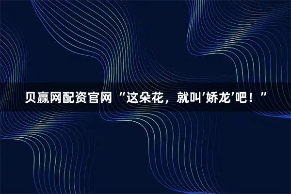 贝赢网配资官网 “这朵花，就叫‘娇龙’吧！”