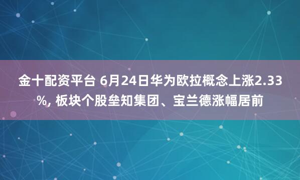 金十配资平台 6月24日华为欧拉概念上涨2.33%, 板块个股垒知集团、宝兰德涨幅居前