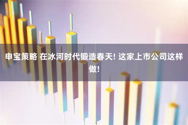 申宝策略 在冰河时代锻造春天! 这家上市公司这样做!