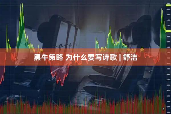 黑牛策略 为什么要写诗歌 | 舒洁